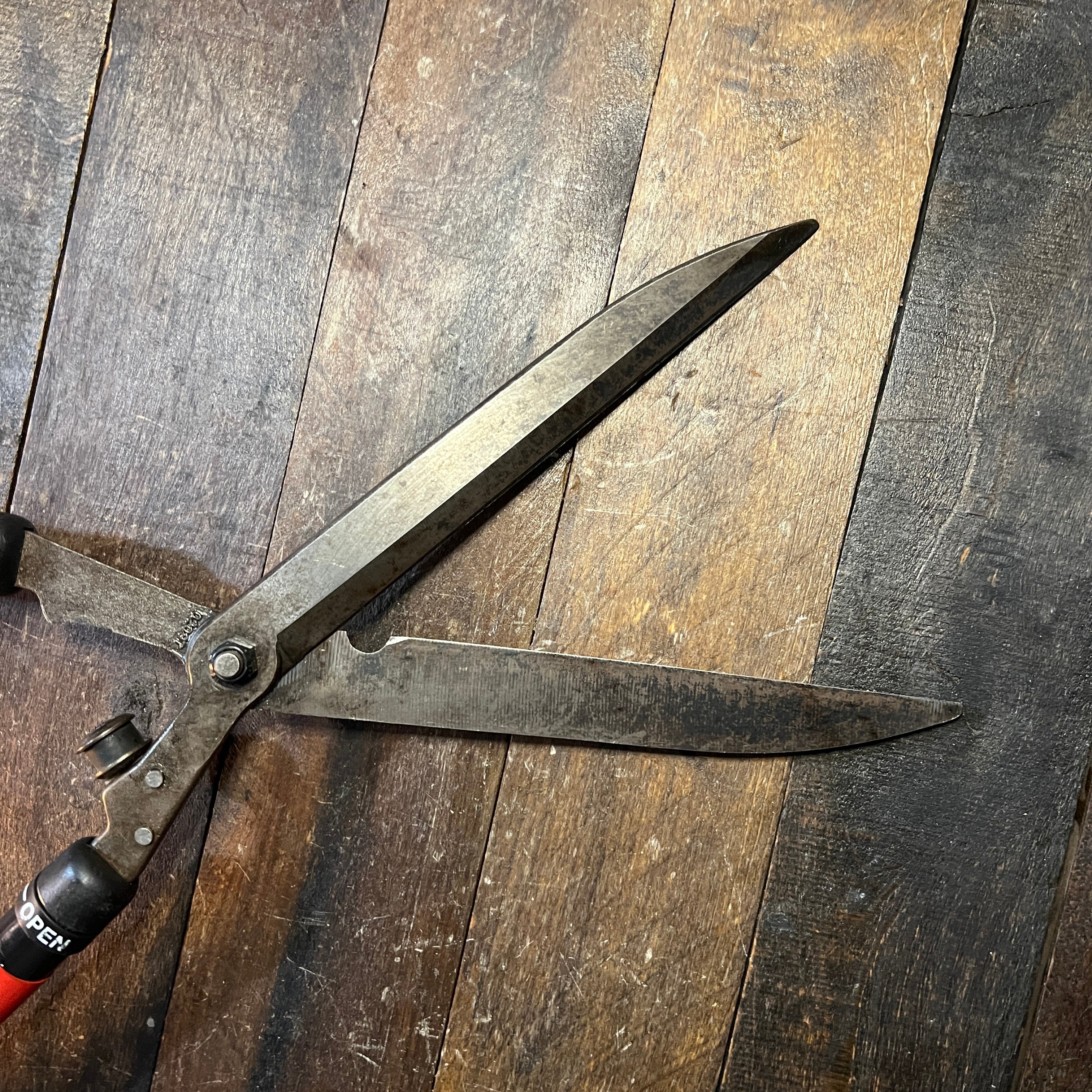 Corona Corona HS3950 Hedge Shears- With Extendable Handles