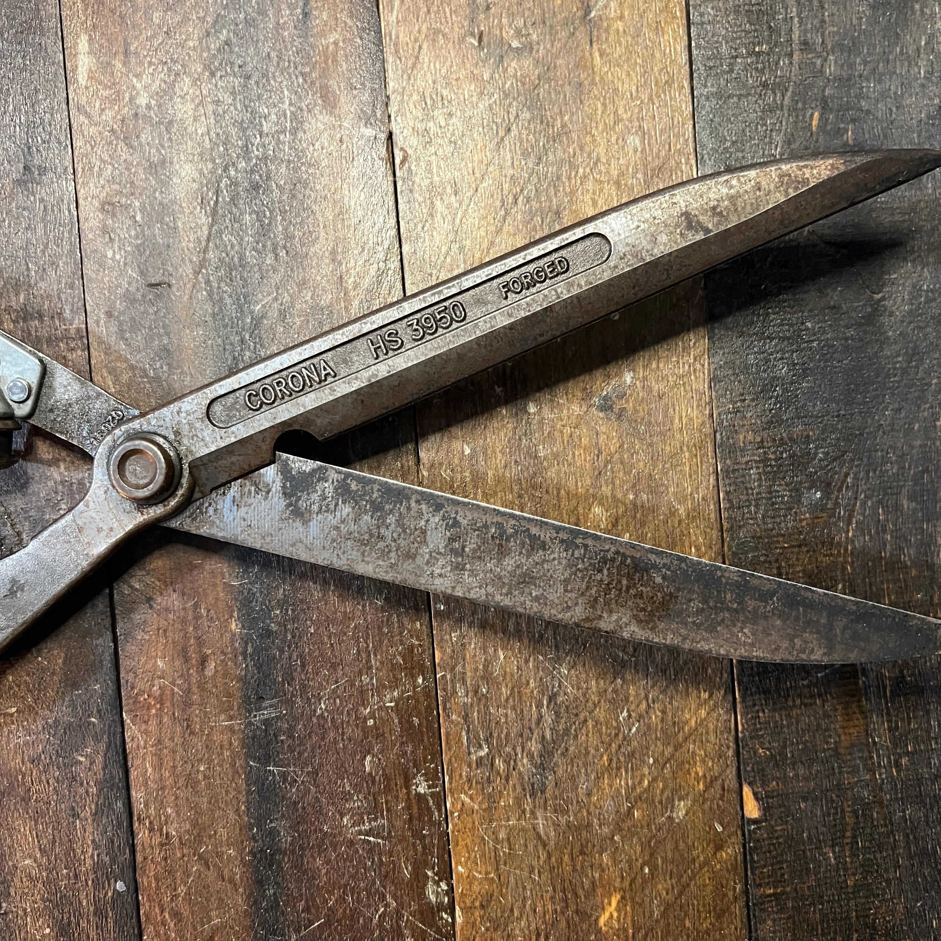 Corona Corona HS3950 Hedge Shears- With Extendable Handles