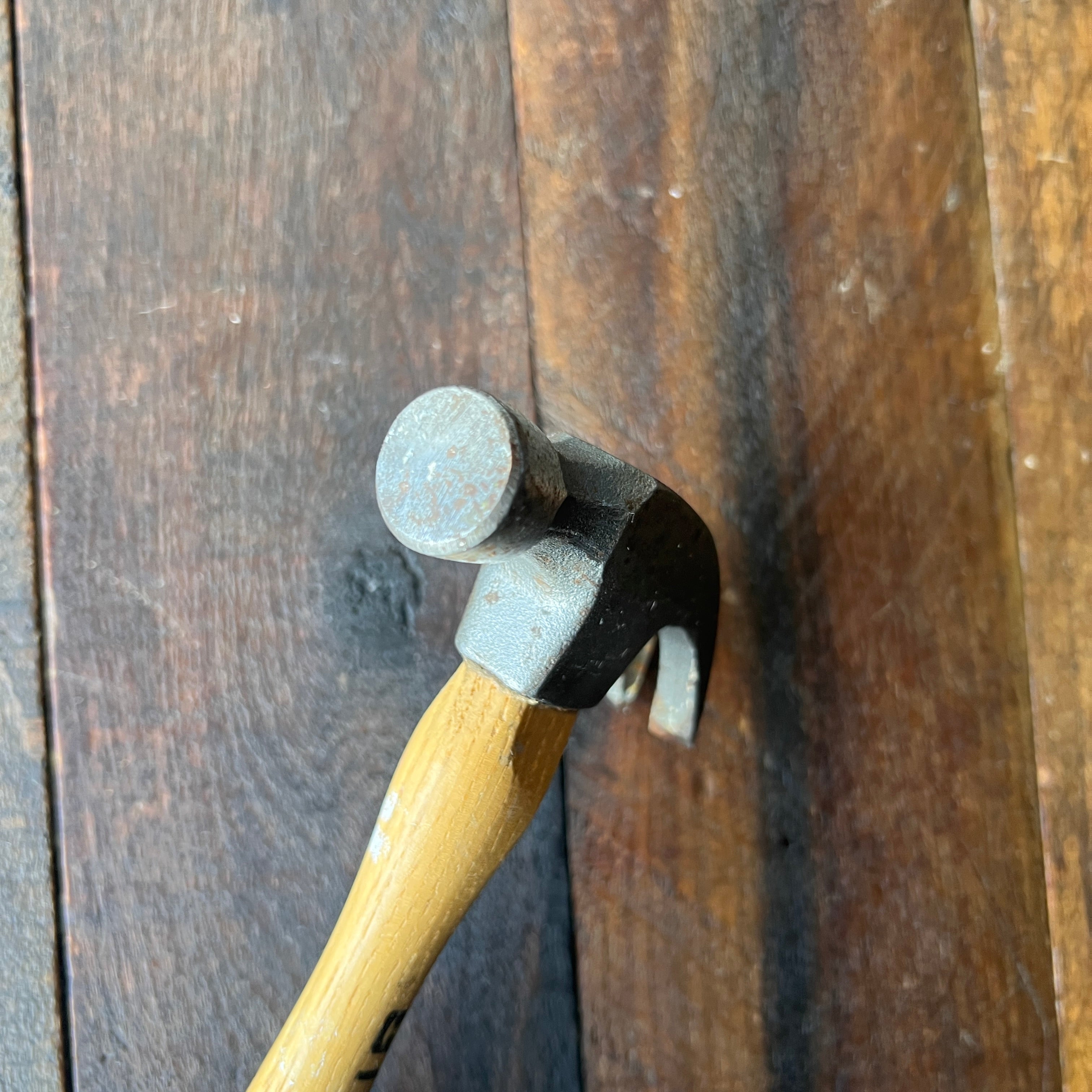 Truper Truper Claw Hammer Wood Handle 0.72 Lb Gear Up