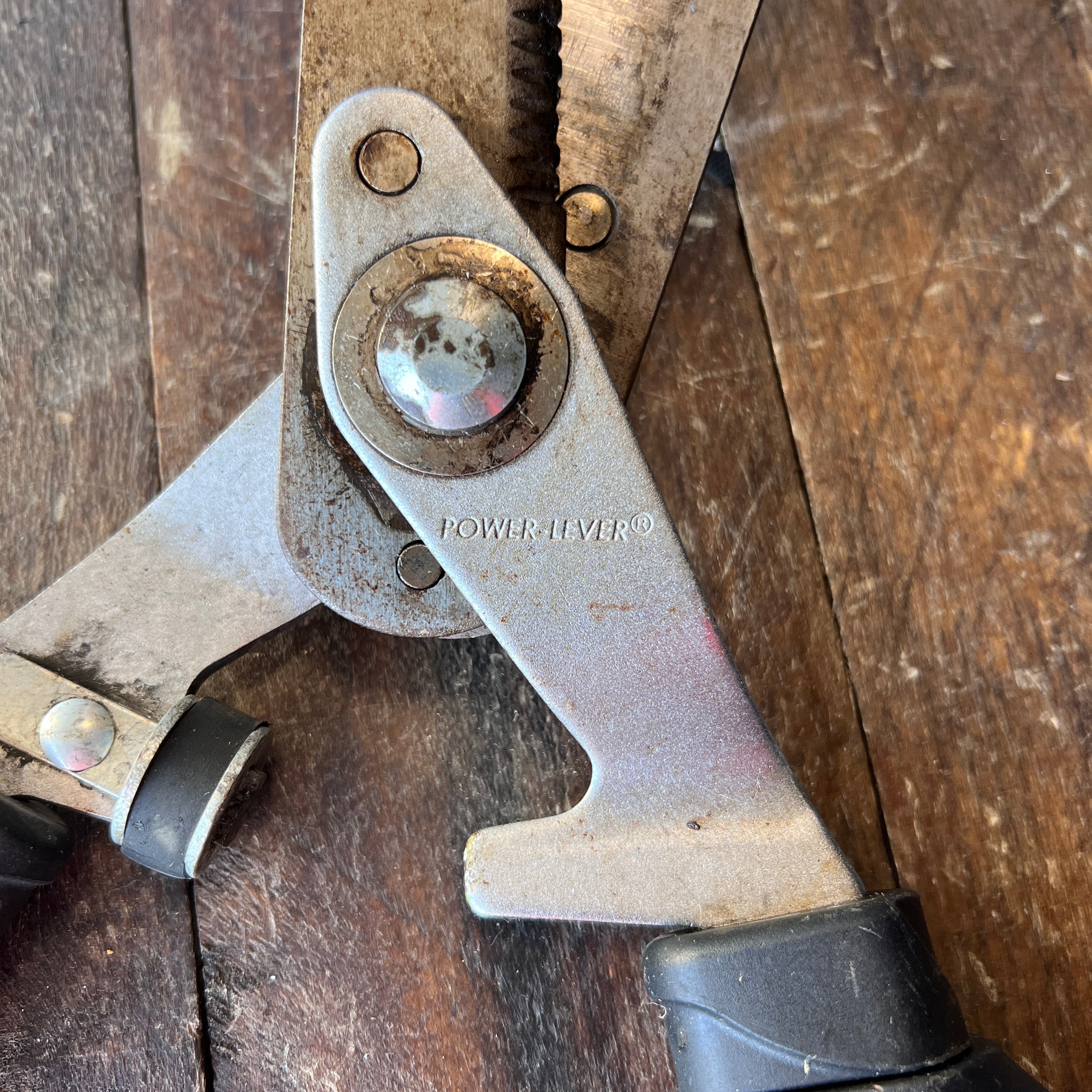 Fiskars Fiskars Power-Lever Extendable Hedge Shears Gear Up